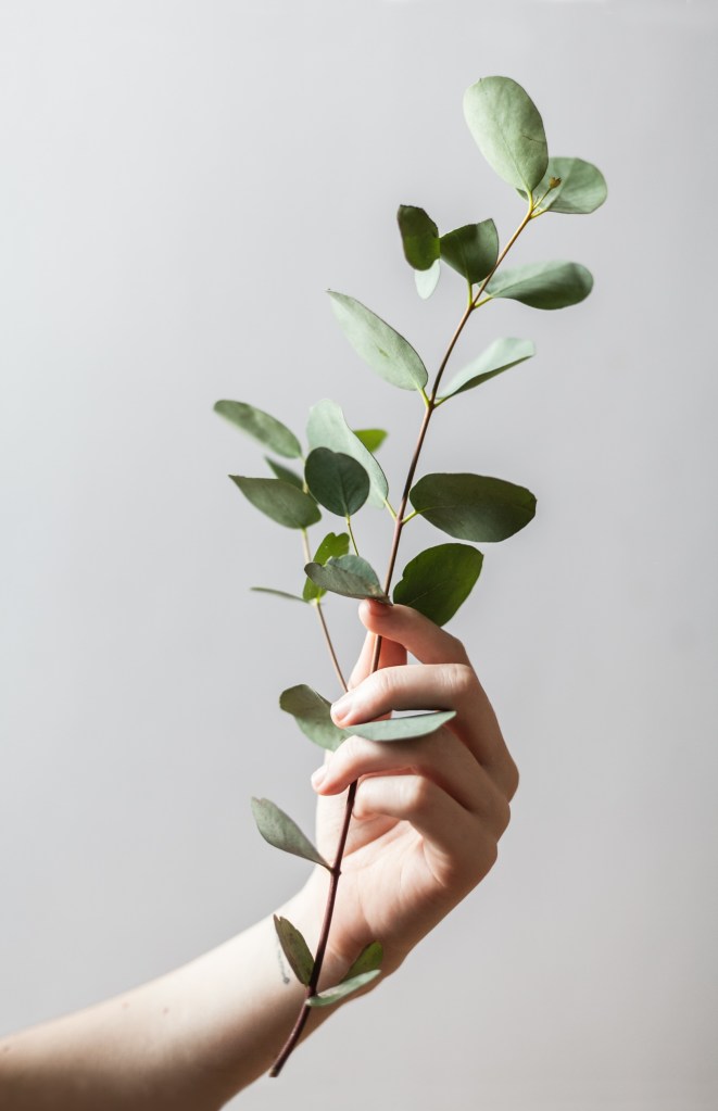 About - MindfulSpark