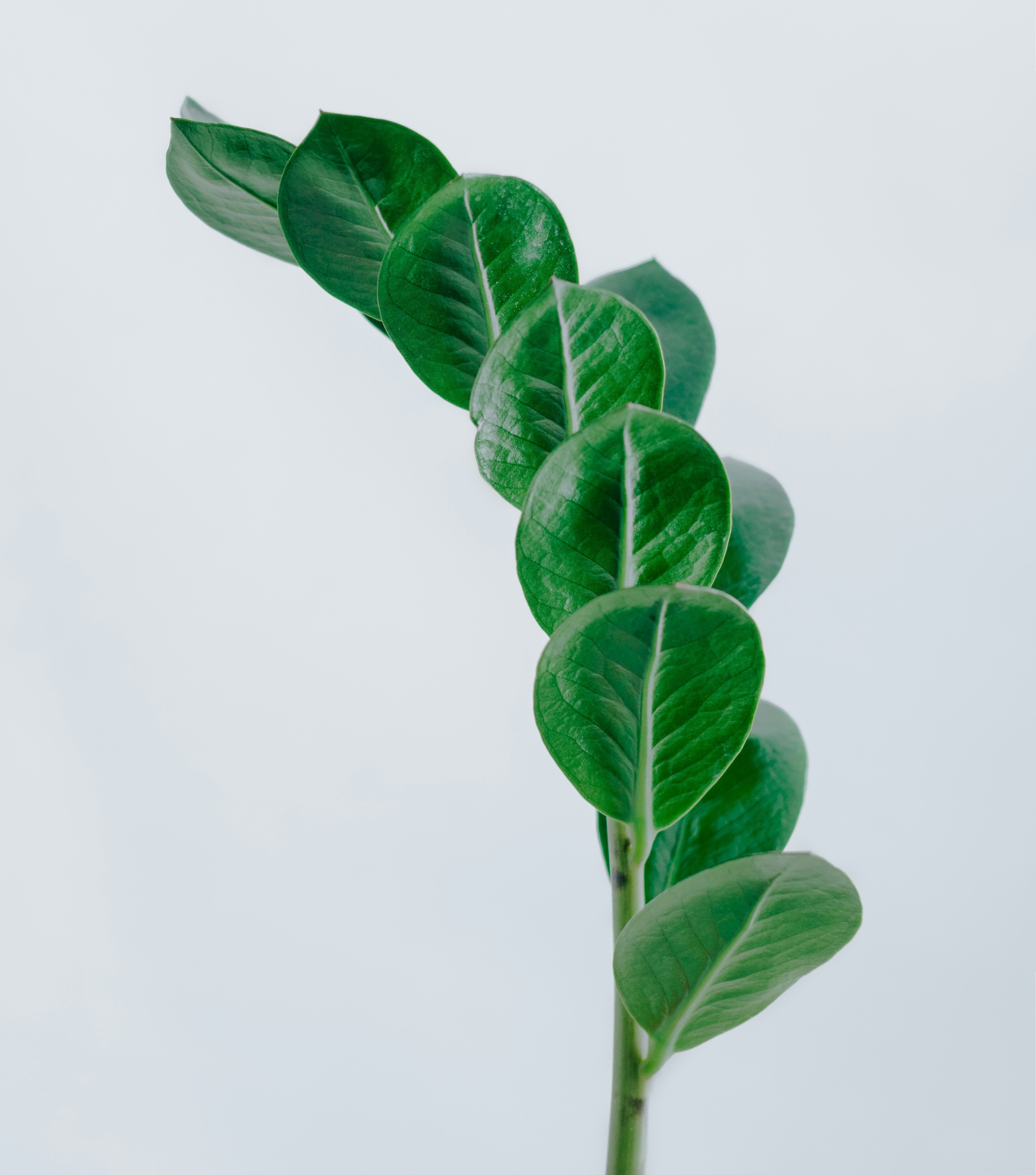 The Power of Lifestyle Modifications for Mental and Physical Health