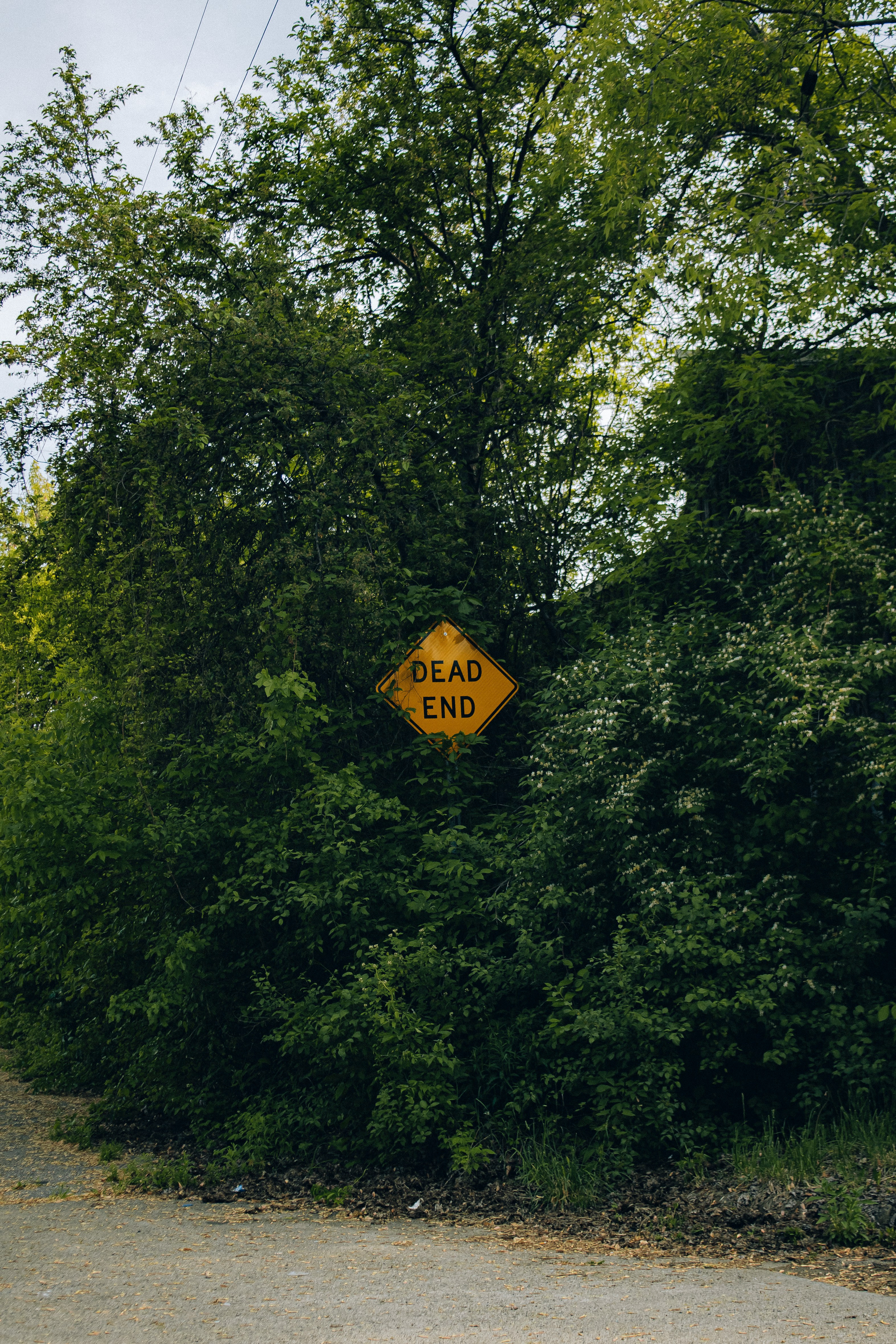 Navigating a Dead End: Understanding, Overcoming, and Transforming Your Path
